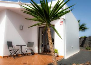 un palmier dans la cour d'une maison dans l'établissement El jardín de Juanita - ROOMS, à Playa Blanca