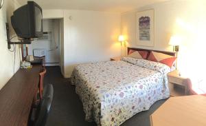 Habitación de hotel con cama y TV de pantalla plana. en Economy Inn Bloomington, en Bloomington