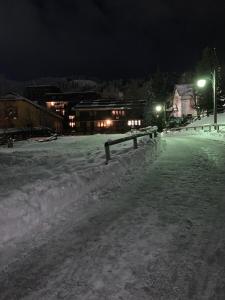 Des Alpes C Flat 11 v zime