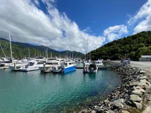 Sounds Good - Waikawa Holiday Home and Berth في بيكتون: مجموعة من القوارب رست في الميناء