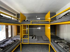 um quarto de beliche com 4 beliches em Young Monk Hostel & Cafe Old Manali em Manali