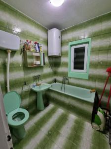a bathroom with a green toilet and a sink at Hacijenda Milosavljević in Vrnjačka Banja