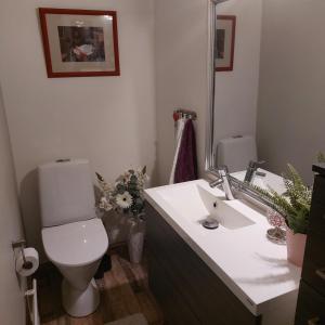a bathroom with a toilet and a sink and a mirror at Blue River in Rovaniemi