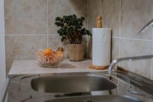 Mynd úr myndasafni af Apartman David í Ruma