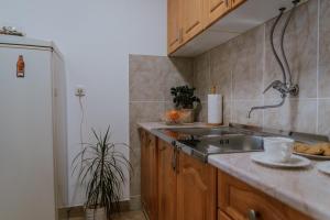 Eldhús eða eldhúskrókur á Apartman David