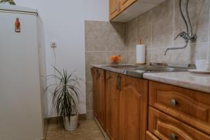Eldhús eða eldhúskrókur á Apartman David