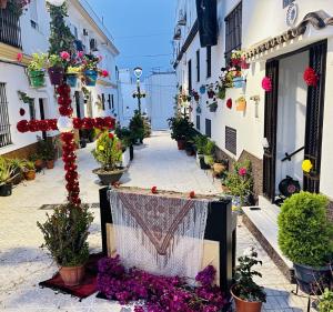a street filled with lots of plants and flowers at AITA CASA BARBATE in Barbate