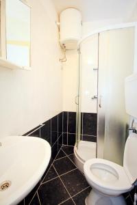 a bathroom with a toilet and a sink and a shower at Apartments Ane in Molunat