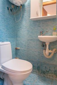 キーウにあるKhoroshaya Kvartira Goloseevskaya 3のバスルーム(トイレ、洗面台付)