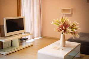A television and/or entertainment centre at Maya Panzio-Rezidencia
