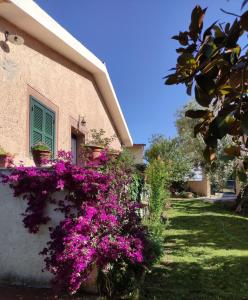 une maison avec des fleurs violettes sur son côté dans l'établissement Alloggio turistico Monte Santa Maria, à Poggio Nativo