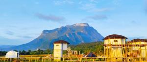 a view of a mountain with tents and a mountain at ดูดอยคอยดาว Dodoykoydao 