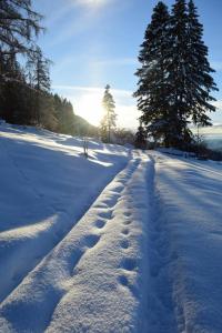 a snow covered road with footprints in the snow at Ritschhof in Castelrotto
