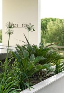 a group of plants on a ledge in front of a building at Eco Green Residences & Suites in Toroni