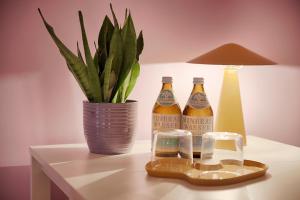 Deux bouteilles de bière sur une table à côté d'une plante dans l'établissement Hotel Kunterbunt - by homekeepers, à Wurtzbourg