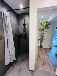 a bathroom with a shower with a shower curtain at Botanical Garden loft in Kaunas
