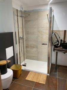 La salle de bains est pourvue d'une douche et de toilettes. dans l'établissement Le Château de La Beauvais, à Piré-sur-Seiche