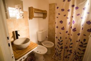 a bathroom with a toilet and a shower curtain at Hosteria San Martin in San Salvador de Jujuy