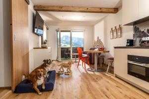 Kuchyň nebo kuchyňský kout v ubytování Almfrieden Hotel & Romantikchalet