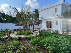 Zahrada ubytování Lala salama Kendwa villas