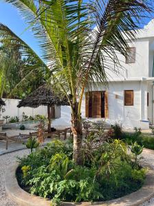Zahrada ubytování Lala salama Kendwa villas