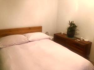 Postel nebo postele na pokoji v ubytování Charles Bridge / Mala Strana Private Room [in Condo]