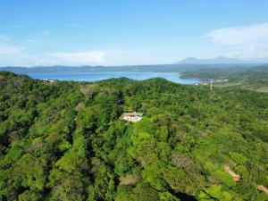 an aerial view of a house in the middle of a forest at Bay Villas in El Jobo