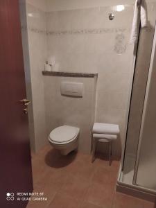 a small bathroom with a toilet and a shower at Hotel Breuil in Breuil-Cervinia