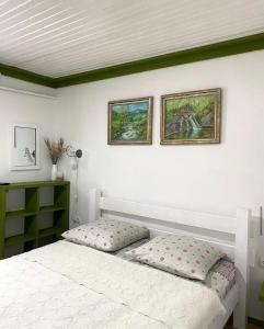 a bedroom with a bed and two pictures on the wall at Girskiy Svitanok in Slavske