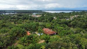 una vista aérea de una casa en medio de un bosque en Amazônia ParkSuítes, en Novo Airão