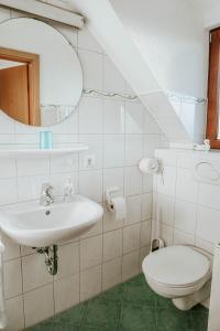 a bathroom with a sink and a mirror and a toilet at Gasthaus Hirsch in Wangen im Allgäu