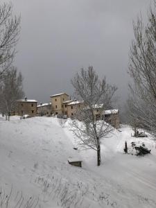 冬天的Agriturismo Il Covo del Solengo