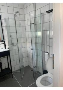 a bathroom with a shower and a toilet at Gia Dormitory in Tel Aviv
