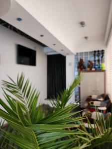 a living room with green plants in the foreground at Penelopa Apartments in Ohrid