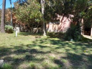 Jardín al aire libre en Punta Avellaneda