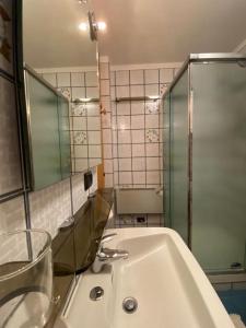 a bathroom with a sink and a glass shower at Encia's Home Dolomiti in Castello di Fiemme