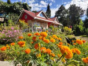 a house with flowers in front of it at Boho Homestay, Rangbhang in Darjeeling