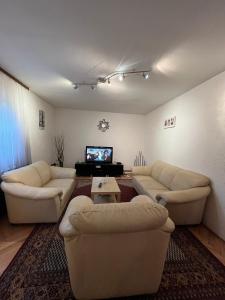 a living room with two couches and a tv at Apartman Nikola in Belgrade