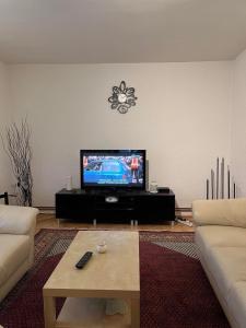 a living room with a tv and a coffee table at Apartman Nikola in Belgrade