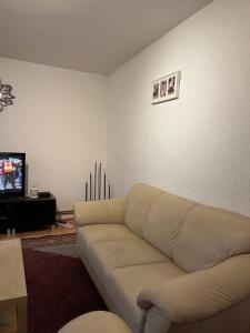 a living room with a couch and a tv at Apartman Nikola in Belgrade