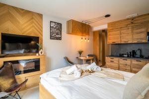 Televízia a/alebo spoločenská miestnosť v ubytovaní Apartament Wielka Turnia by Apart Concept Podhale