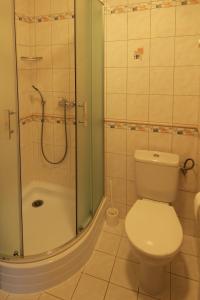 a bathroom with a toilet and a shower at Apartman 300 in Janske Lazne