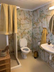 uma casa de banho com um WC e um lavatório em Enok Hytter & Resort em Liagardane