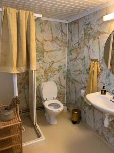 a bathroom with a toilet and a sink at Enok Hytter & Resort in Liagardane +27 photos