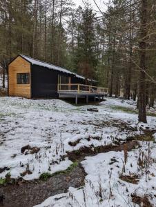 eine Hütte im Wald mit Schnee auf dem Boden in der Unterkunft Andes secluded Cottage in Margaretville