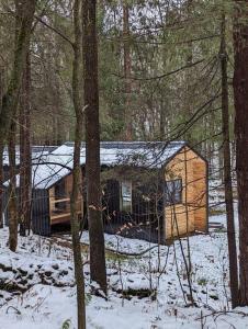 eine Blockhütte im Wald im Schnee in der Unterkunft Andes secluded Cottage in Margaretville
