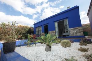 a blue house with plants in front of it at Joumaya Blue Manoir in Casablanca