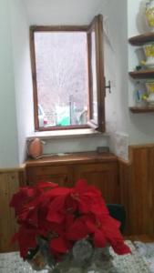 Fotografie z fotogalerie ubytování Carmela e Gennaro casa vacanze v destinaci Villetta Barrea