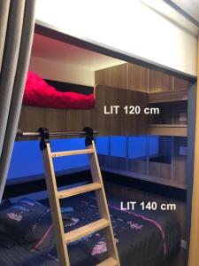 a bunk bed with a ladder in a room at LA JOUE DU LOUP SUPERBE APPARTEMENT A LA MONTAGNE Déco Architecte in Le Dévoluy