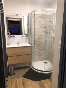 a bathroom with a shower and a sink at LA JOUE DU LOUP SUPERBE APPARTEMENT A LA MONTAGNE Déco Architecte in Le Dévoluy